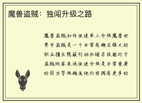 魔兽盗贼：独闯升级之路